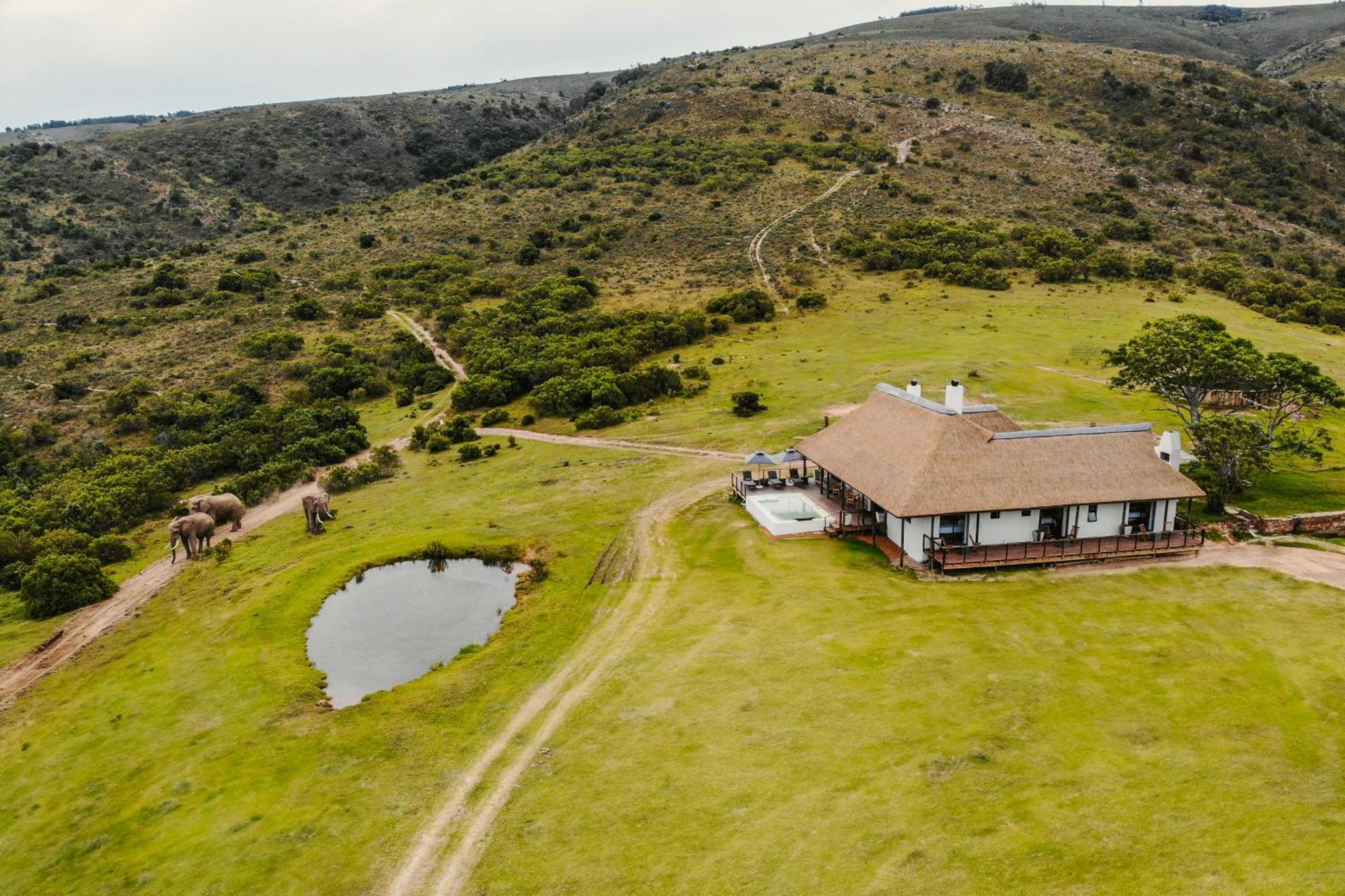 Barefoot Addo Elephant Lodge Exterior foto